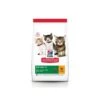 Feline Kitten Poulet -RIMBERIO kitten poulet healthy development