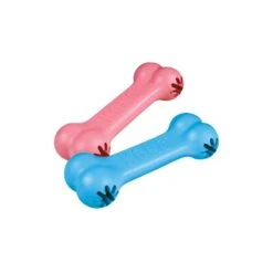 Kong Puppy Goodie Bone