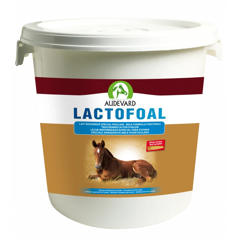 Lactofoal 4 Lactofoal – Image 2