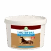 Lactofoal 2 Lactofoal -RIMBERIO lactofoal
