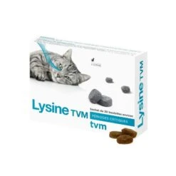 Lysine TVM