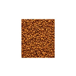 VERSELE-LAGA Nutribird Grandes Perruches G14 Original -RIMBERIO nutribird grandes perruches g14 original 1