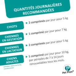 CEVA Pet-Phos Croissance Ca/P 1,3 13 CEVA Pet-Phos Croissance Ca/P 1,3 -RIMBERIO pet phos croissance ca p 13 4
