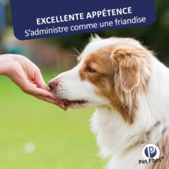 CEVA Pet-Phos Croissance Ca/P 2 -RIMBERIO pet phos croissance ca p 2 5