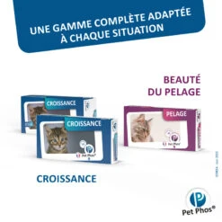 CEVA Pet-Phos Croissance Du Chat -RIMBERIO pet phos croissance du chat 5