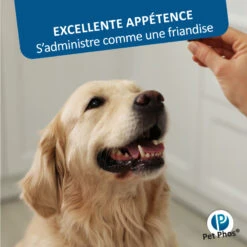 CEVA Pet-Phos Croissance Grand Chien -RIMBERIO pet phos croissance grand chien 5