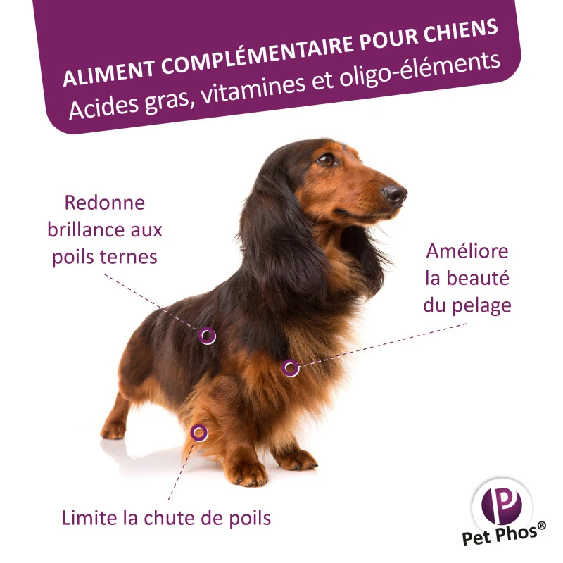 CEVA Pet-Phos Pelage Chien 4 CEVA Pet-Phos Pelage Chien – Image 2