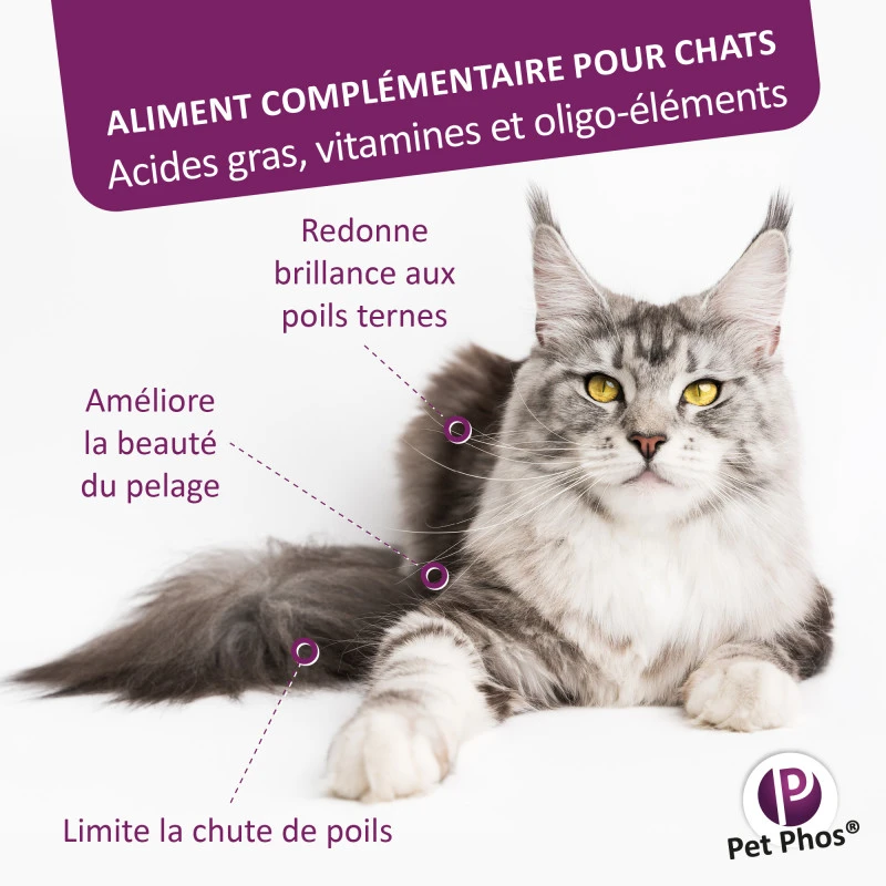 CEVA Pet-Phos Pelage Du Chat 4 CEVA Pet-Phos Pelage Du Chat – Image 2
