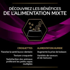 PURINA PRO PLAN Ppvd Feline UR Stox Urinary Salmon Sachet Repas -RIMBERIO ppvd feline ur stox urinary salmon sachet repas 4