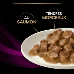 PURINA PRO PLAN Ppvd Feline UR Stox Urinary Salmon Sachet Repas -RIMBERIO ppvd feline ur stox urinary salmon sachet repas 7