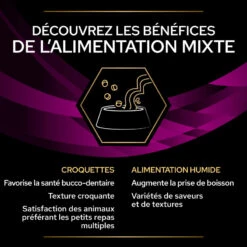 PURINA PRO PLAN Ppvd Feline UR Stox Urinary Turkey Boîte -RIMBERIO ppvd feline ur stox urinary turkey boite 4