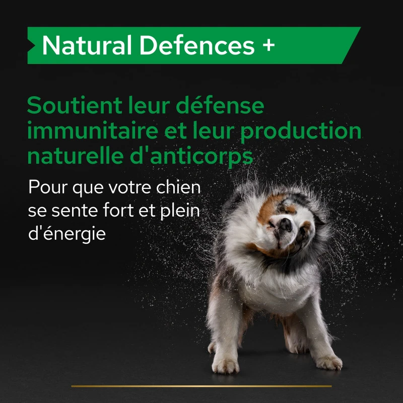 PURINA PRO PLAN Pro Plan Natural Defences + Chien 13 PURINA PRO PLAN Pro Plan Natural Defences + Chien – Image 11