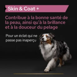 PURINA PRO PLAN Pro Plan Skin And Coat + Chien -RIMBERIO pro plan skin and coat chien 9