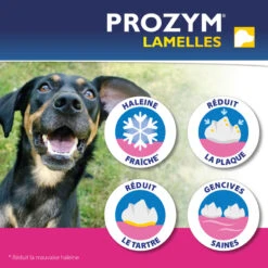 CEVA Prozym Chien Lamelles à Mâcher 12 CEVA Prozym Chien Lamelles à Mâcher -RIMBERIO prozym chien lamelles a macher 2