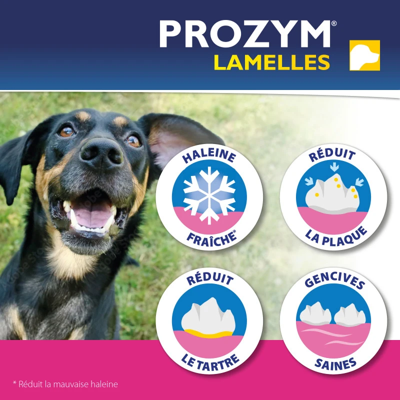 CEVA Prozym Chien Lamelles à Mâcher 5 CEVA Prozym Chien Lamelles à Mâcher – Image 3