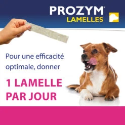 CEVA Prozym Chien Lamelles à Mâcher 14 CEVA Prozym Chien Lamelles à Mâcher -RIMBERIO prozym chien lamelles a macher 4