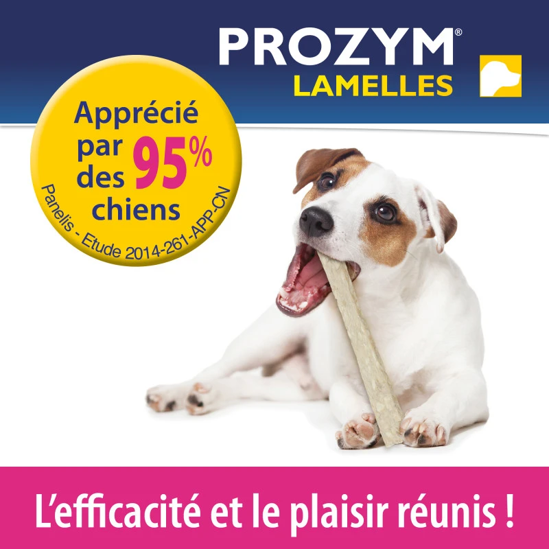 CEVA Prozym Chien Lamelles à Mâcher 8 CEVA Prozym Chien Lamelles à Mâcher – Image 6