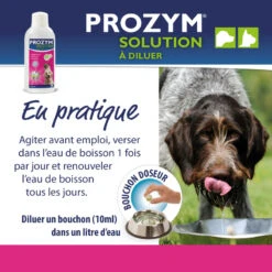 CEVA Prozym RF2 Solution Buvable -RIMBERIO prozym rf2 solution buvable 4