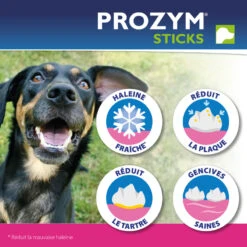 CEVA Prozym RF2 Sticks à Mâcher 13 CEVA Prozym RF2 Sticks à Mâcher -RIMBERIO prozym rf2 sticks a macher 2