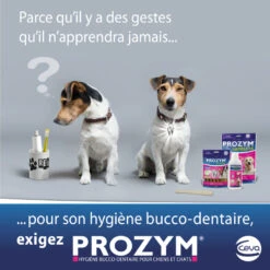 CEVA Prozym RF2 Sticks à Mâcher 19 CEVA Prozym RF2 Sticks à Mâcher -RIMBERIO prozym rf2 sticks a macher 8