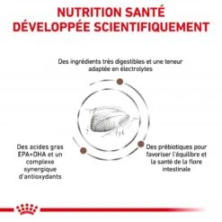 ROYAL CANIN Cat Gastro Intestinal -RIMBERIO royal canin cat gastro intestinal 2