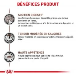 ROYAL CANIN Cat Gastro Intestinal Moderate Calorie Sachet Repas 14 ROYAL CANIN Cat Gastro Intestinal Moderate Calorie Sachet Repas -RIMBERIO royal canin cat gastro intestinal moderate calorie sachet repas 2