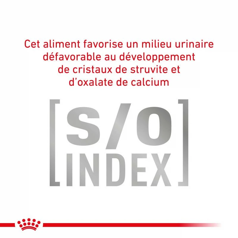 ROYAL CANIN Cat Gastro Intestinal Moderate Calorie Sachet Repas 6 ROYAL CANIN Cat Gastro Intestinal Moderate Calorie Sachet Repas – Image 4