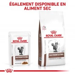 ROYAL CANIN Cat Gastro Intestinal Moderate Calorie Sachet Repas 18 ROYAL CANIN Cat Gastro Intestinal Moderate Calorie Sachet Repas -RIMBERIO royal canin cat gastro intestinal moderate calorie sachet repas 6