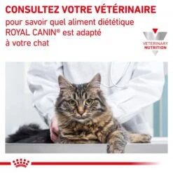 ROYAL CANIN Cat Gastro Intestinal Moderate Calorie Sachet Repas 19 ROYAL CANIN Cat Gastro Intestinal Moderate Calorie Sachet Repas -RIMBERIO royal canin cat gastro intestinal moderate calorie sachet repas 7