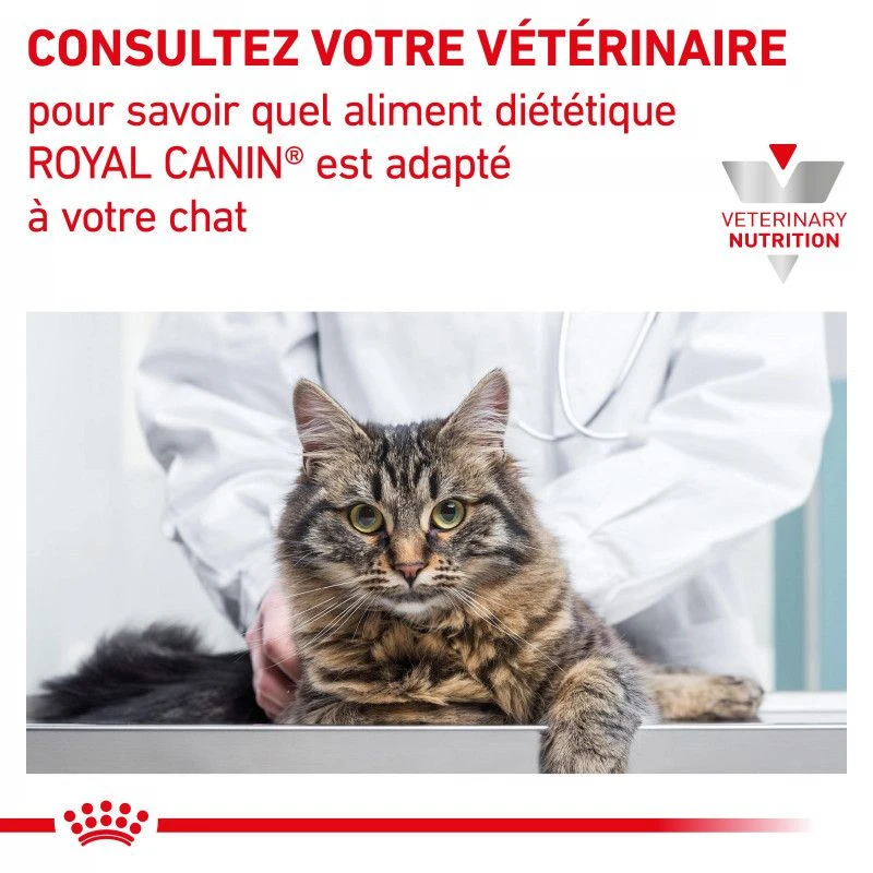 ROYAL CANIN Cat Gastro Intestinal Moderate Calorie Sachet Repas 10 ROYAL CANIN Cat Gastro Intestinal Moderate Calorie Sachet Repas – Image 8