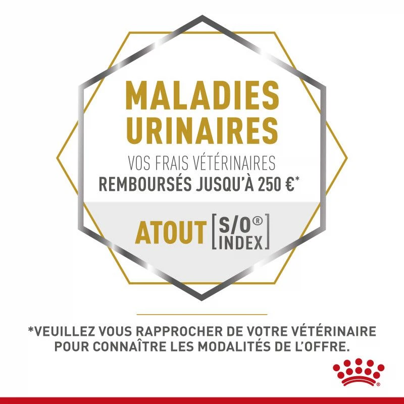 ROYAL CANIN Cat Gastro Intestinal Moderate Calorie Sachet Repas 11 ROYAL CANIN Cat Gastro Intestinal Moderate Calorie Sachet Repas – Image 9