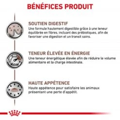 ROYAL CANIN Cat Gastro Intestinal Sachet Repas -RIMBERIO royal canin cat gastro intestinal sachet repas 2