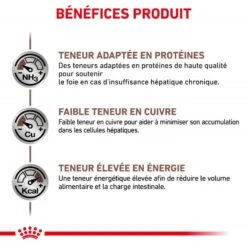 ROYAL CANIN Cat Hepatic -RIMBERIO royal canin cat hepatic 3