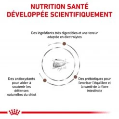 ROYAL CANIN Dog Gastro Intestinal Puppy -RIMBERIO royal canin dog gastro intestinal puppy 2