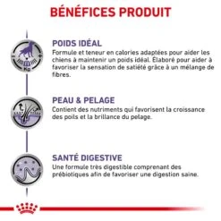 ROYAL CANIN Neutered Adult Medium Dog -RIMBERIO royal canin vet care nutrition neutered adult dog 4