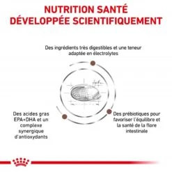 ROYAL CANIN Cat Gastro Intestinal Moderate Calorie -RIMBERIO royal canin veterinary diet cat gastro intestinal moderate calorie 2