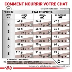 ROYAL CANIN Cat Gastro Intestinal Moderate Calorie -RIMBERIO royal canin veterinary diet cat gastro intestinal moderate calorie 5