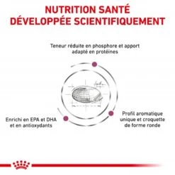 ROYAL CANIN Veterinary Health Nutrition Cat Renal -RIMBERIO royal canin veterinary diet cat renal 2