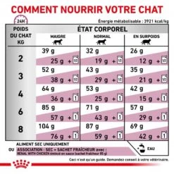 ROYAL CANIN Veterinary Health Nutrition Cat Renal -RIMBERIO royal canin veterinary diet cat renal 4