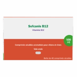 Sofcanis B12