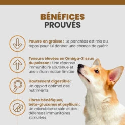 Specific CID-LF Digestive Support Low Fat -RIMBERIO specific cid lf digestive support low fat 4