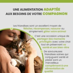 Specific FT-BIO Organic Treats -RIMBERIO specific ct bio organic treats 2