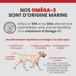 Specific CXD-M Adult Medium Breed 18 Specific CXD-M Adult Medium Breed -RIMBERIO specific cxd m adult medium breed 6