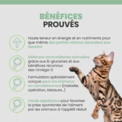 Specific F/C IN-L Intensive Support 13 Specific F/C IN-L Intensive Support -RIMBERIO specific f c in l intensive support 2
