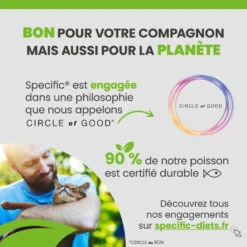 Specific F/C IN-L Intensive Support 15 Specific F/C IN-L Intensive Support -RIMBERIO specific f c in l intensive support 4