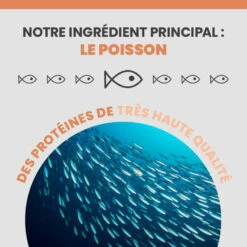 Specific FDD-HY Food Allergen Management 17 Specific FDD-HY Food Allergen Management -RIMBERIO specific fdd hy food allergen management 4