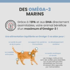 Specific FED-DM Endocrine Support -RIMBERIO specific fed dm endocrine support 7