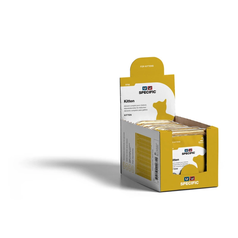 Specific FPW Kitten 4 Specific FPW Kitten – Image 2