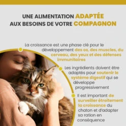 Specific FPW Kitten 15 Specific FPW Kitten -RIMBERIO specific fpw kitten 2