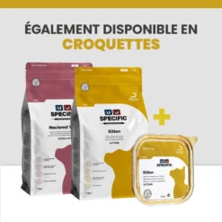 Specific FPW Kitten 22 Specific FPW Kitten -RIMBERIO specific fpw kitten 9